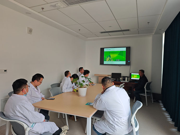 风险久久久久久亚洲精品影院