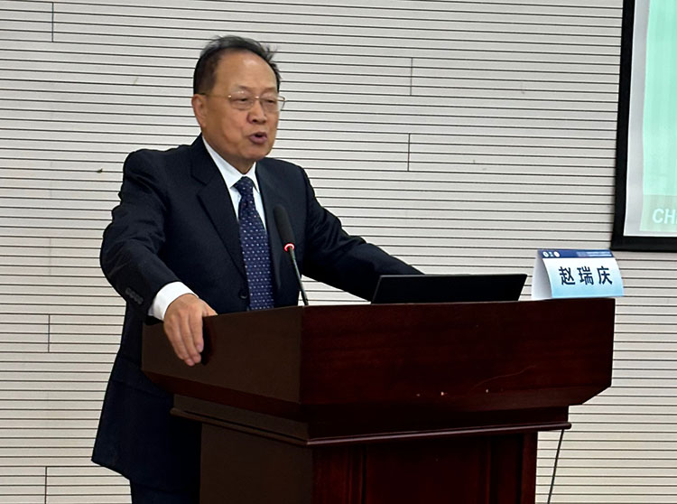 风险久久久久久亚洲精品影院