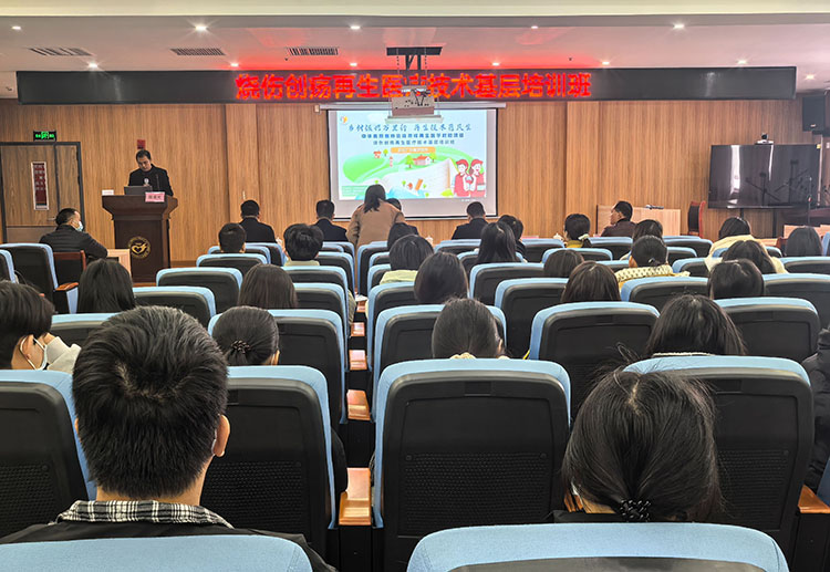 风险久久久久久亚洲精品影院