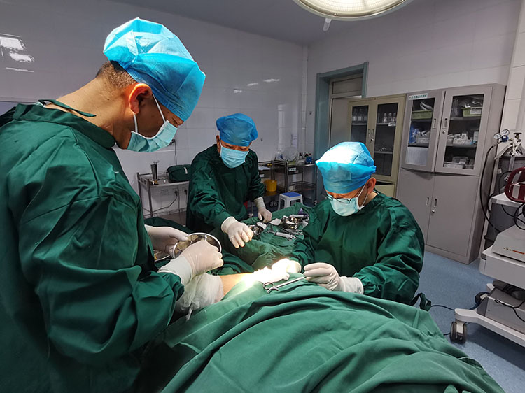 风险久久久久久亚洲精品影院