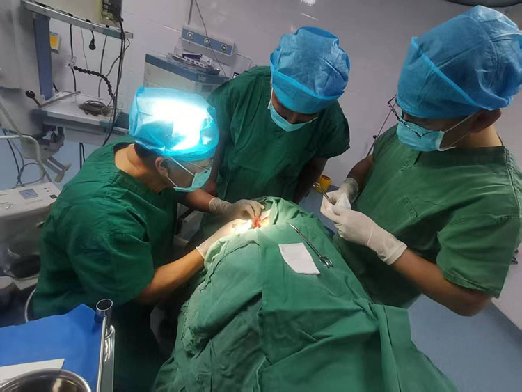 风险久久久久久亚洲精品影院