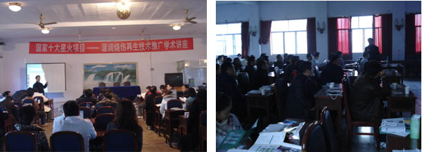 风险久久久久久亚洲精品影院