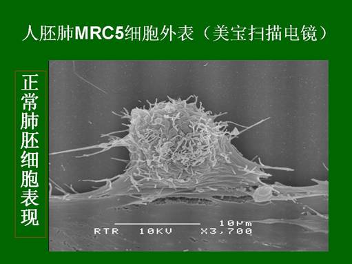 风险久久久久久亚洲精品影院