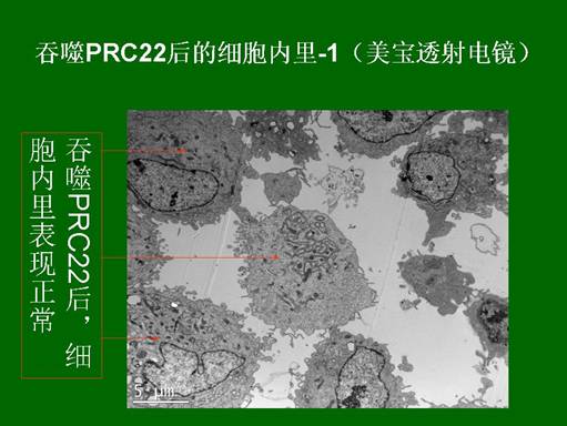 风险久久久久久亚洲精品影院