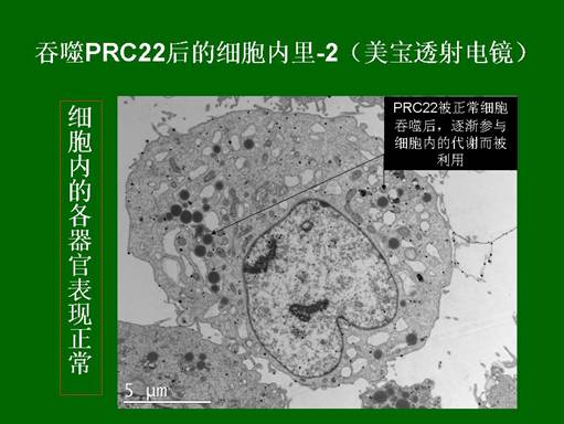 风险久久久久久亚洲精品影院