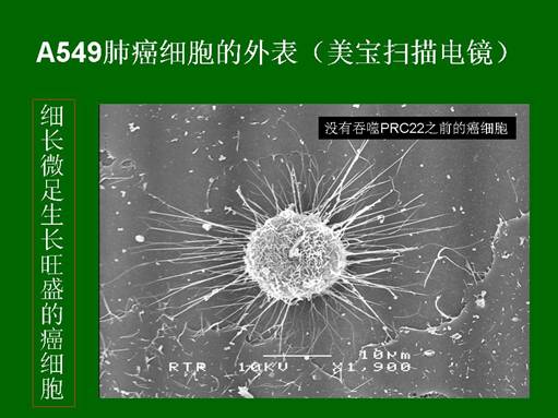 风险久久久久久亚洲精品影院