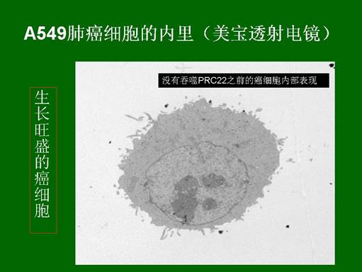 风险久久久久久亚洲精品影院