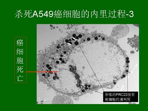 风险久久久久久亚洲精品影院