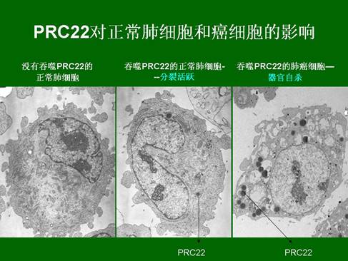 风险久久久久久亚洲精品影院