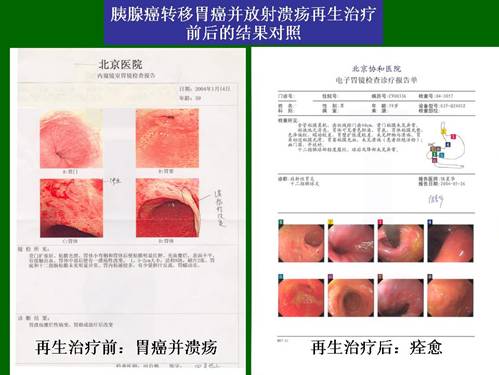 风险久久久久久亚洲精品影院
