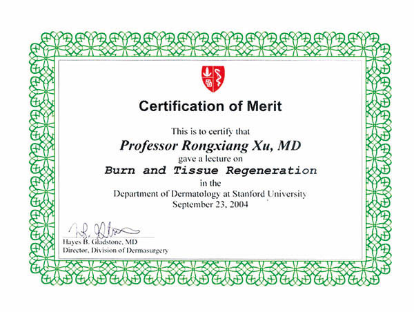 风险久久久久久亚洲精品影院