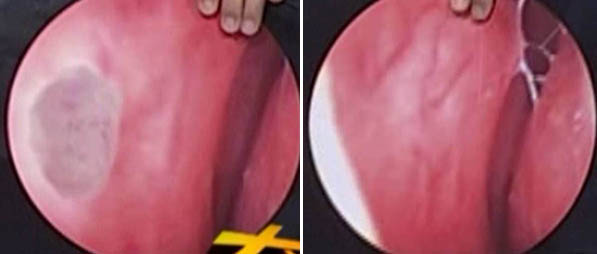 风险久久久久久亚洲精品影院