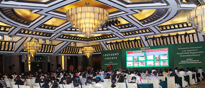 风险久久久久久亚洲精品影院