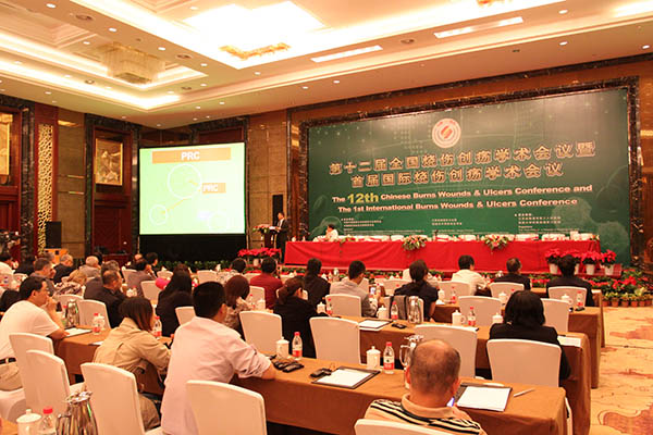 风险久久久久久亚洲精品影院