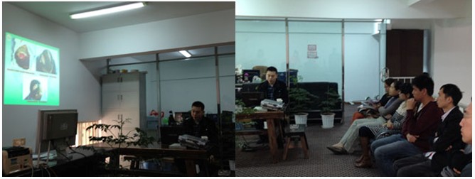 风险久久久久久亚洲精品影院