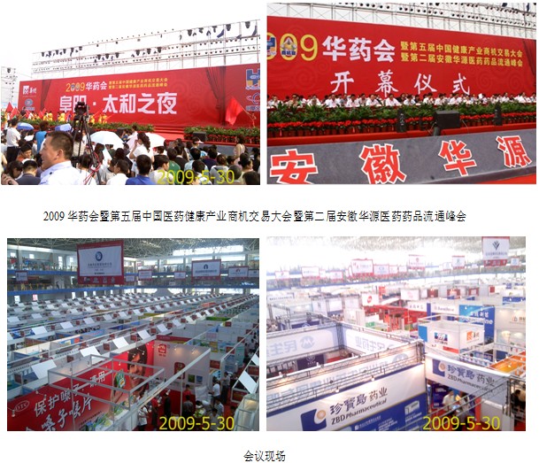 风险久久久久久亚洲精品影院