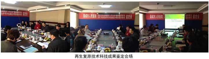 风险久久久久久亚洲精品影院