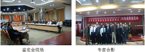 风险久久久久久亚洲精品影院