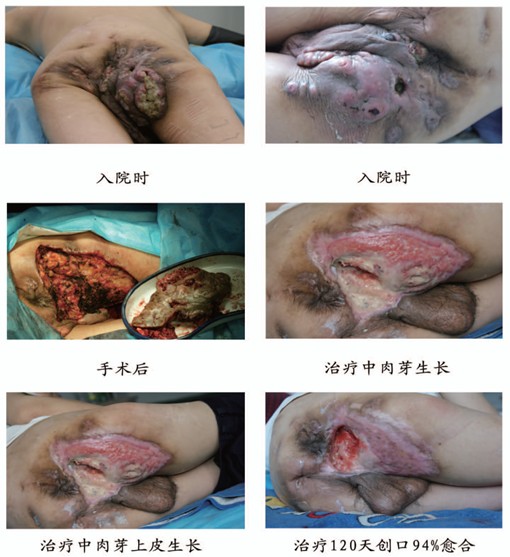 风险久久久久久亚洲精品影院