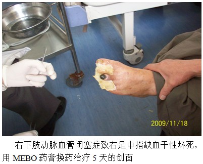 风险久久久久久亚洲精品影院