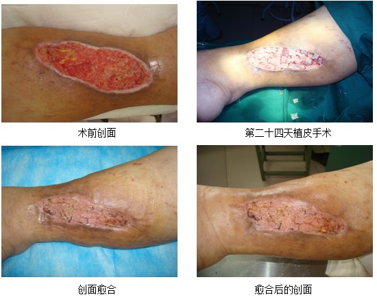 风险久久久久久亚洲精品影院