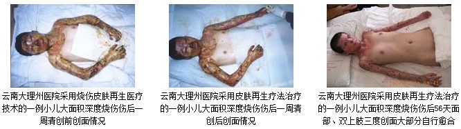 风险久久久久久亚洲精品影院