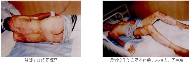 风险久久久久久亚洲精品影院