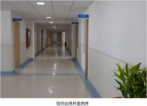 风险久久久久久亚洲精品影院