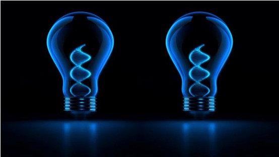 风险久久久久久亚洲精品影院