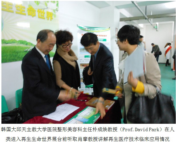 风险久久久久久亚洲精品影院