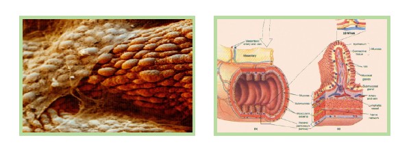 风险久久久久久亚洲精品影院