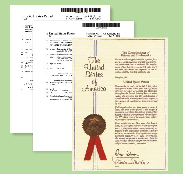 风险久久久久久亚洲精品影院