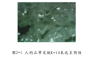 风险久久久久久亚洲精品影院