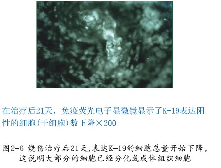 风险久久久久久亚洲精品影院