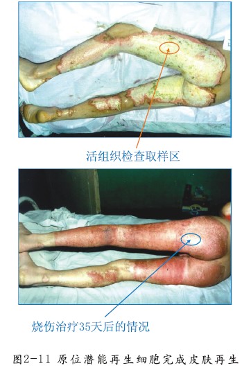 风险久久久久久亚洲精品影院