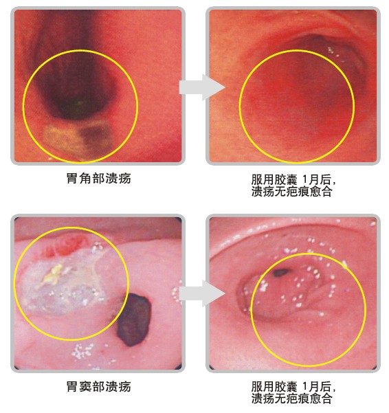 风险久久久久久亚洲精品影院