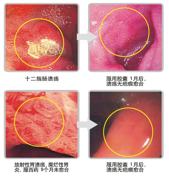 风险久久久久久亚洲精品影院