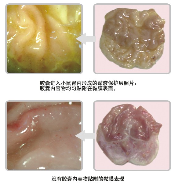 风险久久久久久亚洲精品影院