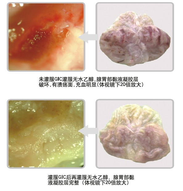 风险久久久久久亚洲精品影院