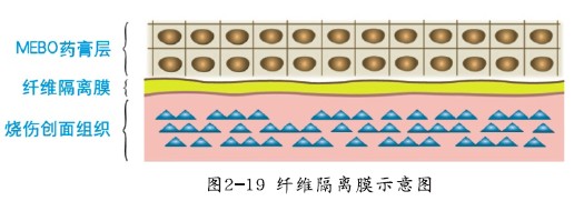 风险久久久久久亚洲精品影院