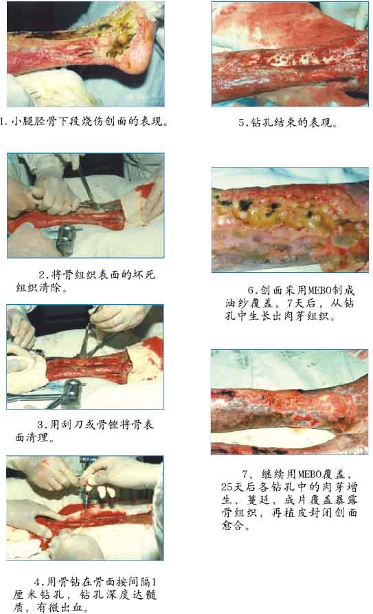 风险久久久久久亚洲精品影院