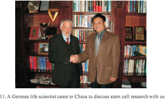 风险久久久久久亚洲精品影院