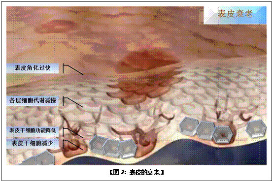 风险久久久久久亚洲精品影院