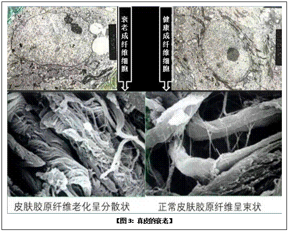 风险久久久久久亚洲精品影院