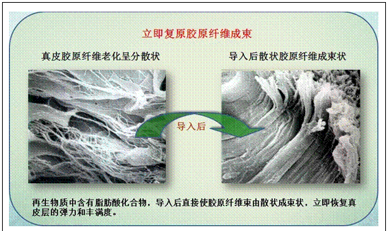 风险久久久久久亚洲精品影院