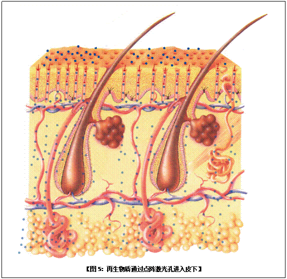 风险久久久久久亚洲精品影院