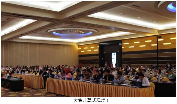 风险久久久久久亚洲精品影院