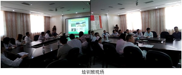 风险久久久久久亚洲精品影院