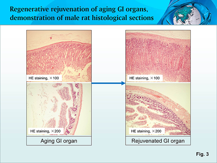 风险久久久久久亚洲精品影院