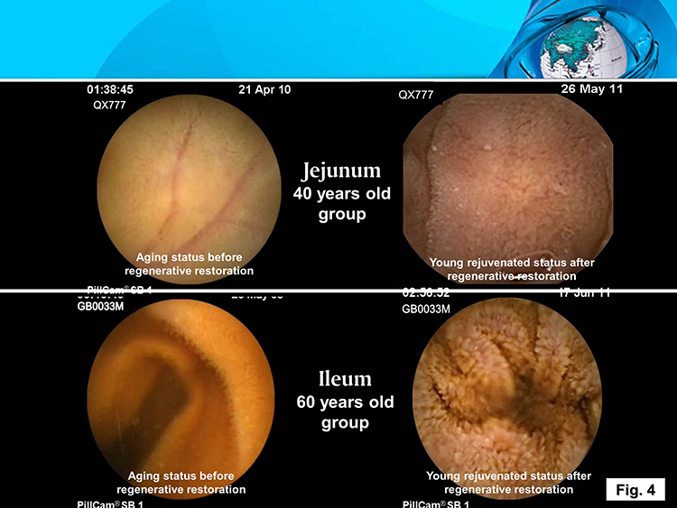 风险久久久久久亚洲精品影院